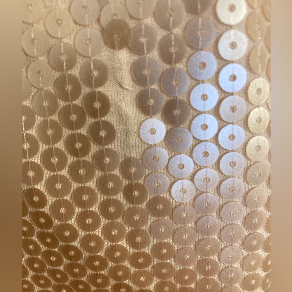 Ann Taylor Sequin Sparkle Chiffon Top - Picture 10 of 12